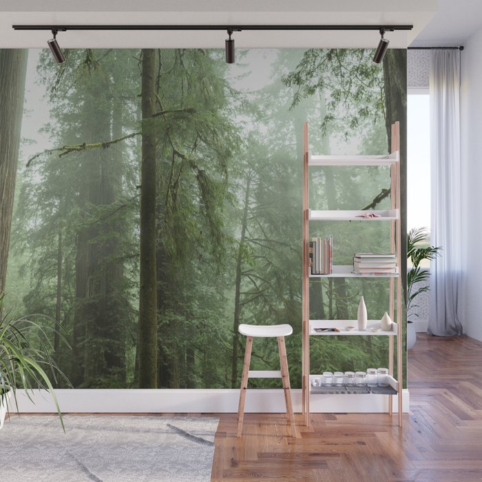 Redwood National Park - Misty Mountain Forest Adventure Wall Mural Gallery Image 1