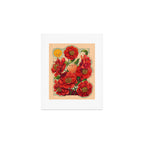 Camellias Art Print Gallery Image 1