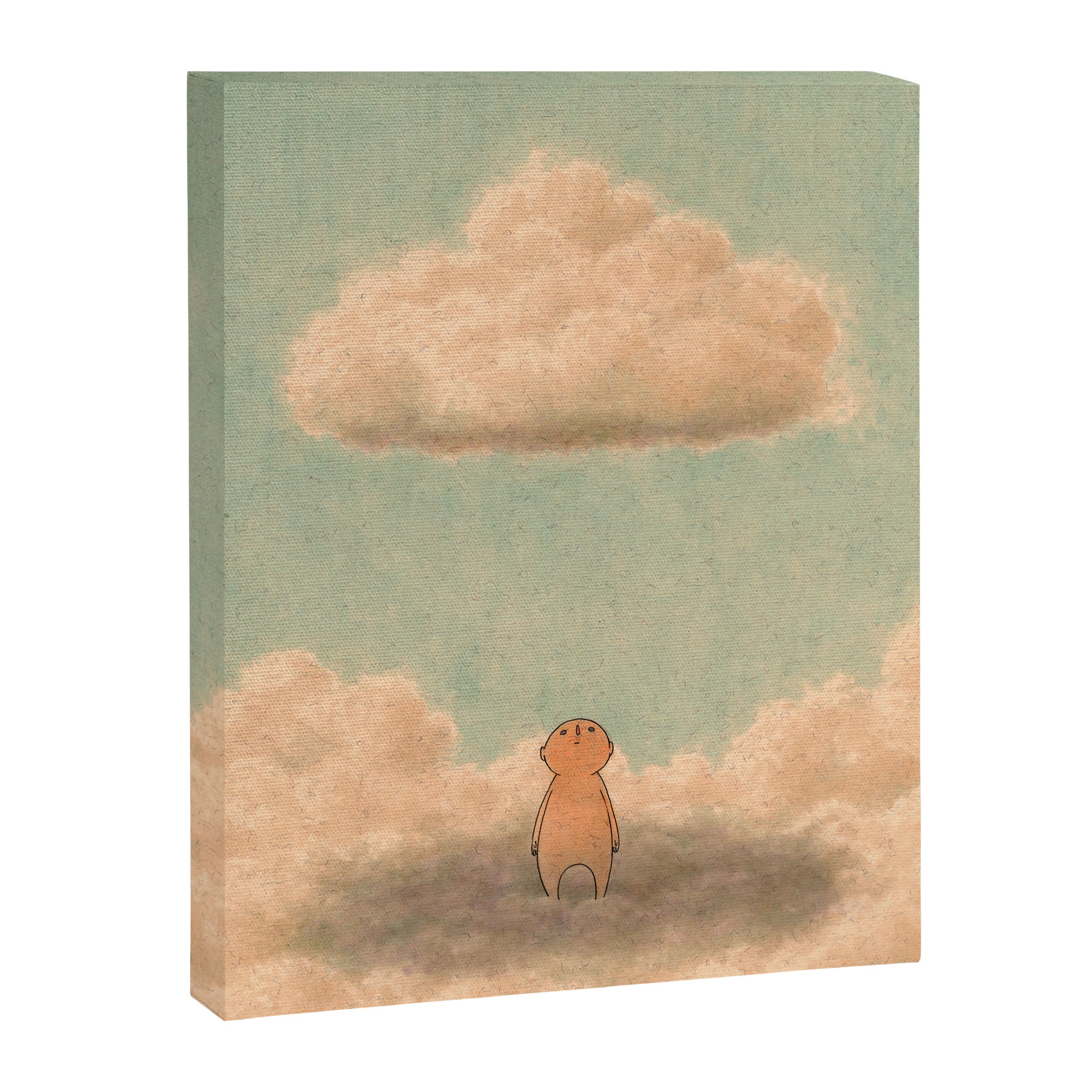 Cloud Shadow Canvas Print Gallery Image 3