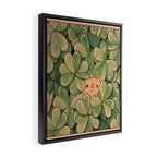 Clover  Framed Canvas Print Gallery Image 2
