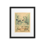 Deep Sea Dreams Framed Art Print Gallery Image 5