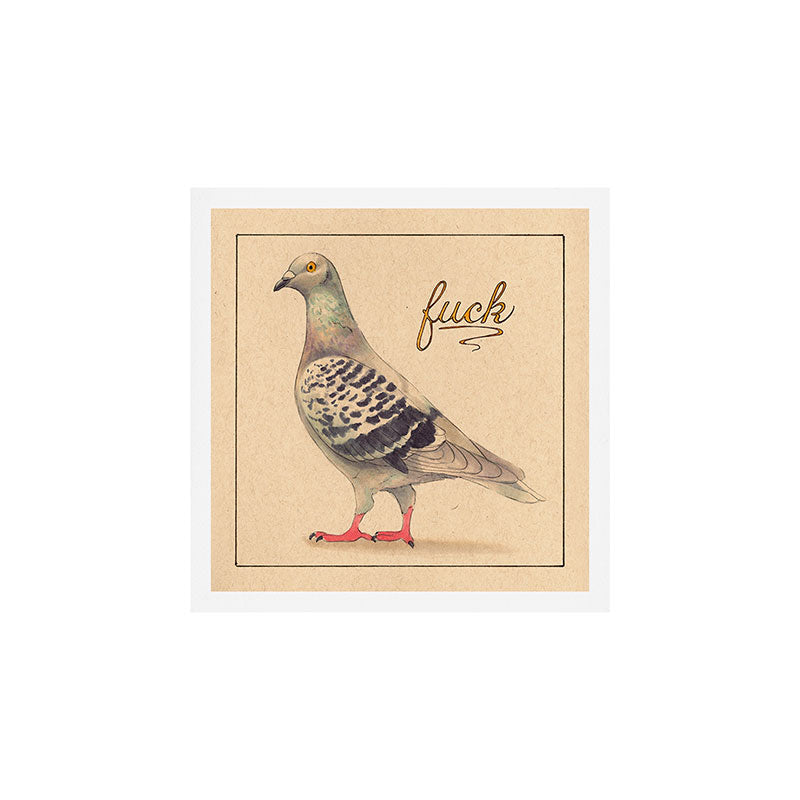 Fancy 'Fuck' Pigeon Art Print Gallery Image 1