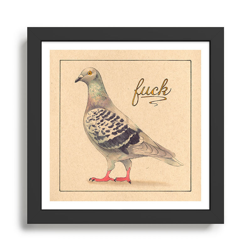 Fancy 'Fuck' Pigeon Framed Art Print Gallery Image 1