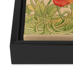 Poppy Season Framed Canvas Print Gallery Image 3