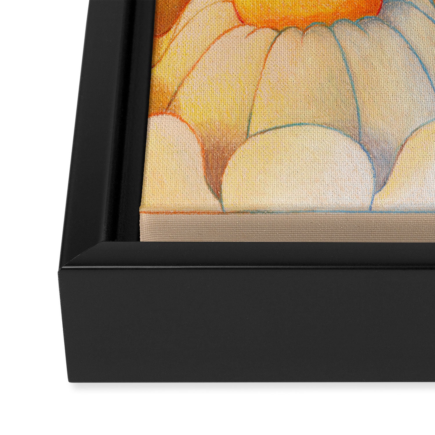 Rainbow Daisies Framed Canvas Print Gallery Image 3