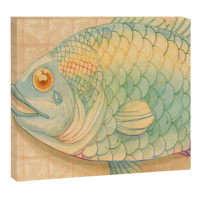 Rainbow Fish Canvas Print Gallery Image 1