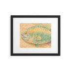 Rainbow Fish Framed Art Print Gallery Image 5