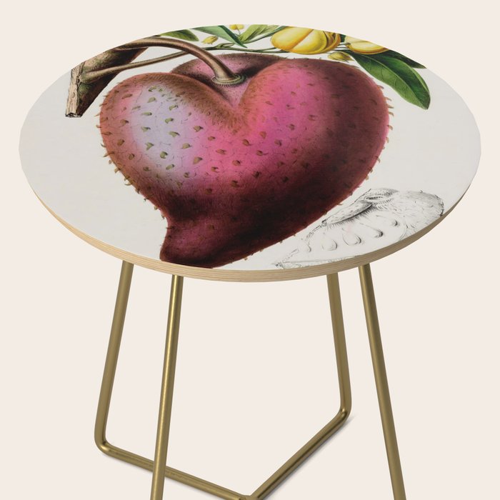 Soursop from "Flore dâAmÃ©rique" by Ãtienne Denisse, 1840s Side Table Gallery Image 2