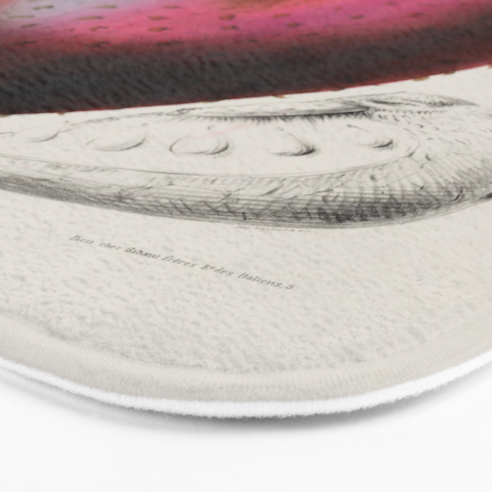 Soursop from "Flore dâAmÃ©rique" by Ãtienne Denisse, 1840s Bath Mat Gallery Image 3