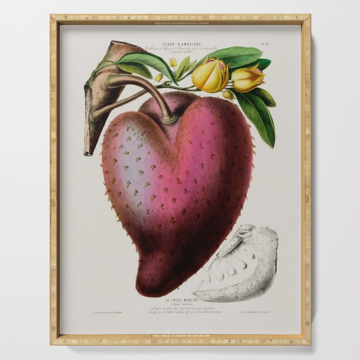 Soursop from "Flore dâAmÃ©rique" by Ãtienne Denisse, 1840s Serving Tray Gallery Image 1