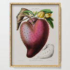 Soursop from "Flore dâAmÃ©rique" by Ãtienne Denisse, 1840s Serving Tray Gallery Image 1