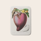 Soursop from "Flore dâAmÃ©rique" by Ãtienne Denisse, 1840s Bath Mat Gallery Image 1