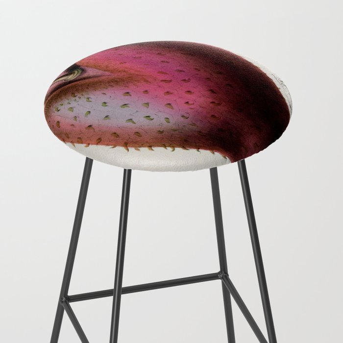 Soursop from "Flore dâAmÃ©rique" by Ãtienne Denisse, 1840s Stool Gallery Image 2
