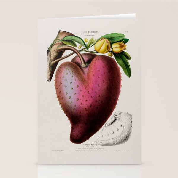 Soursop from "Flore dâAmÃ©rique" by Ãtienne Denisse, 1840s Stationery Card Gallery Image 1