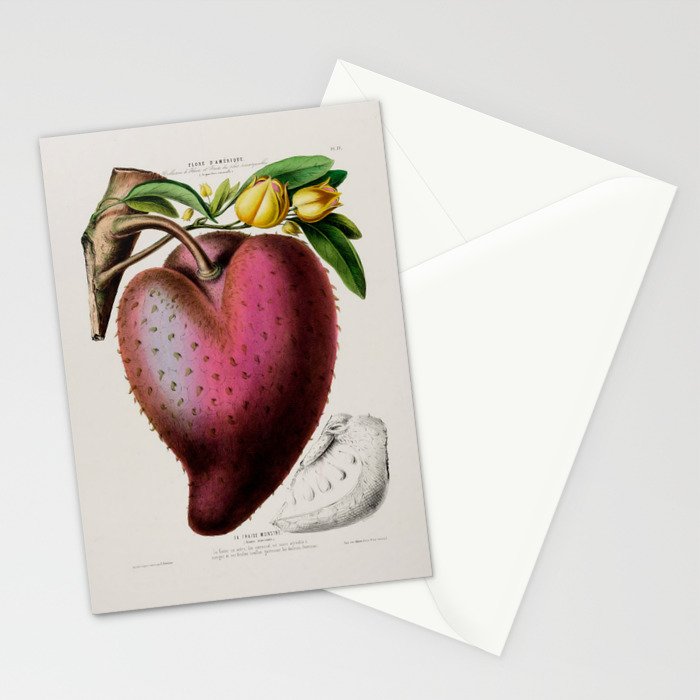 Soursop from "Flore dâAmÃ©rique" by Ãtienne Denisse, 1840s Stationery Card Gallery Image 2