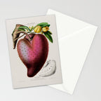 Soursop from "Flore dâAmÃ©rique" by Ãtienne Denisse, 1840s Stationery Card Gallery Image 2