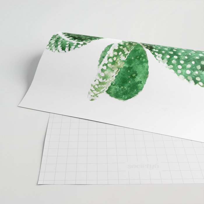 Velvet Cactus | Watercolor Botanical Plants | Minimal Boho Scandinavian Painting Wrapping Paper Gallery Image 2