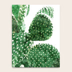 Velvet Cactus | Watercolor Botanical Plants | Minimal Boho Scandinavian Painting Notebook Gallery Image 4