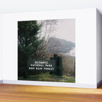Olympic National Park Hoh Rain Forest Sign Wall Mural Gallery Image 2