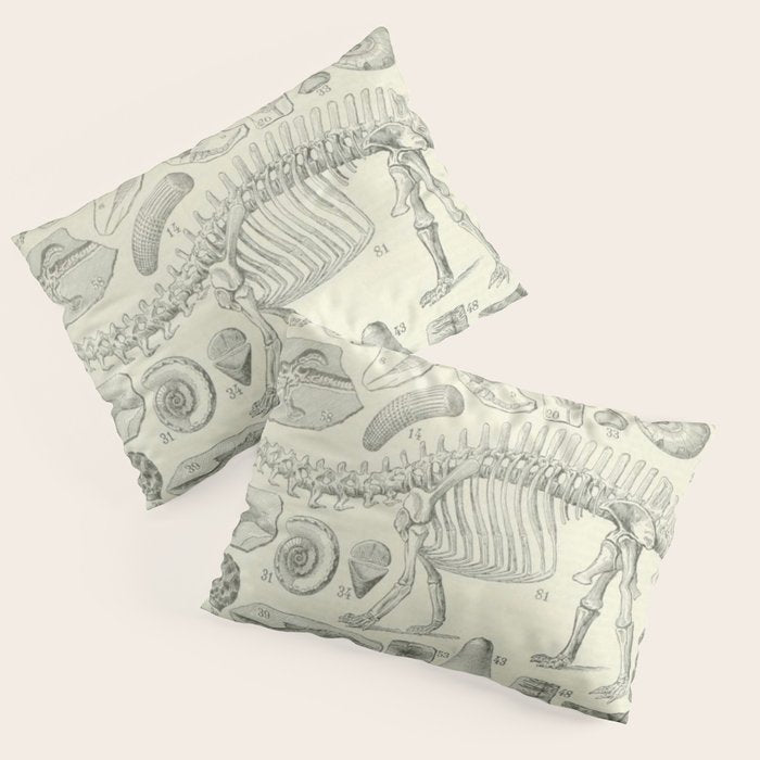 Fossil Chart Pillow Sham Gallery Image 1