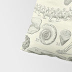 Fossil Chart Pillow Sham Gallery Image 4