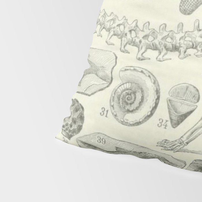 Fossil Chart Pillow Sham Gallery Image 4