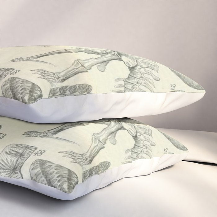 Fossil Chart Pillow Sham Gallery Image 3