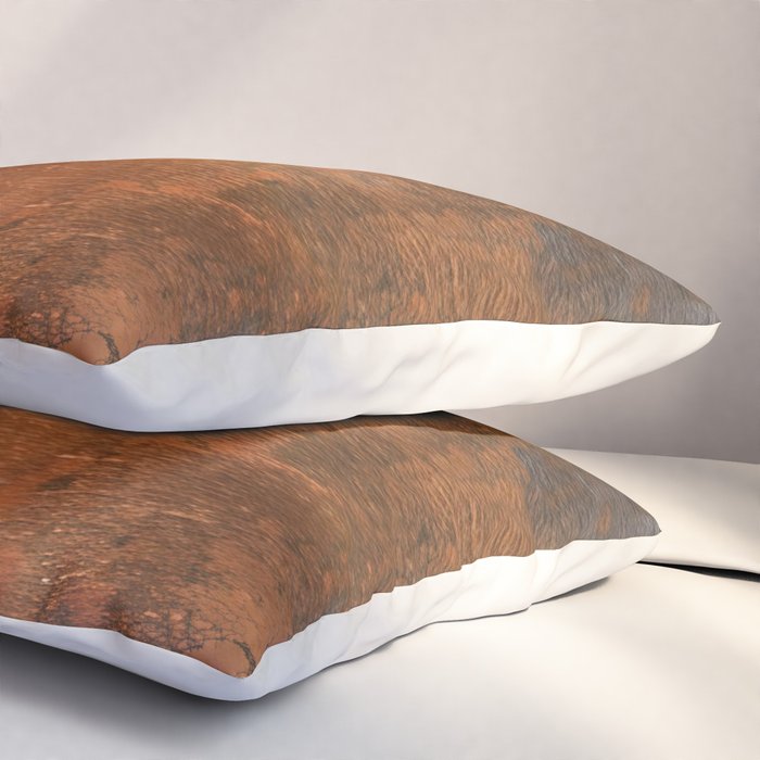 Japandi Art Copper and Black Rust Pillow Sham Gallery Image 3