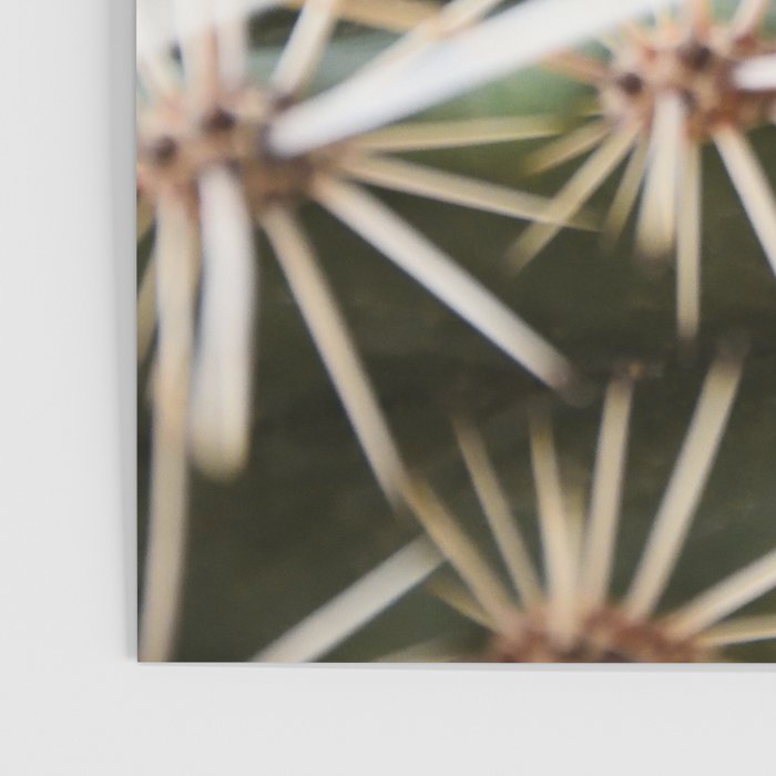 Cactus pattern in Marrakech in the summer - Green, terra cotta mediterranean - Travel Photography Poster Gallery Image 3