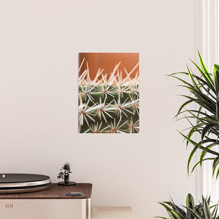 Cactus pattern in Marrakech in the summer - Green, terra cotta mediterranean - Travel Photography Poster Gallery Image 2