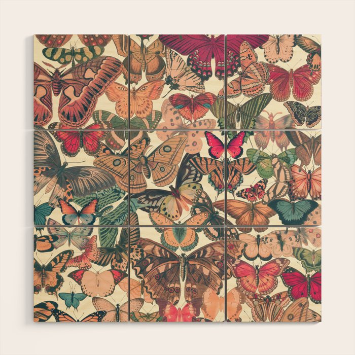 Butterfly Box Wood Wall Art Gallery Image 1