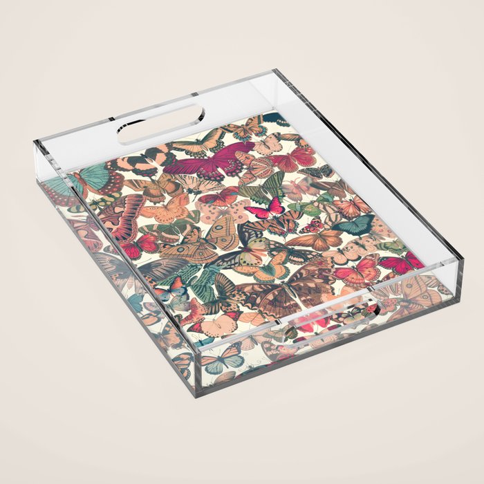 Butterfly Box Acrylic Tray Gallery Image 1