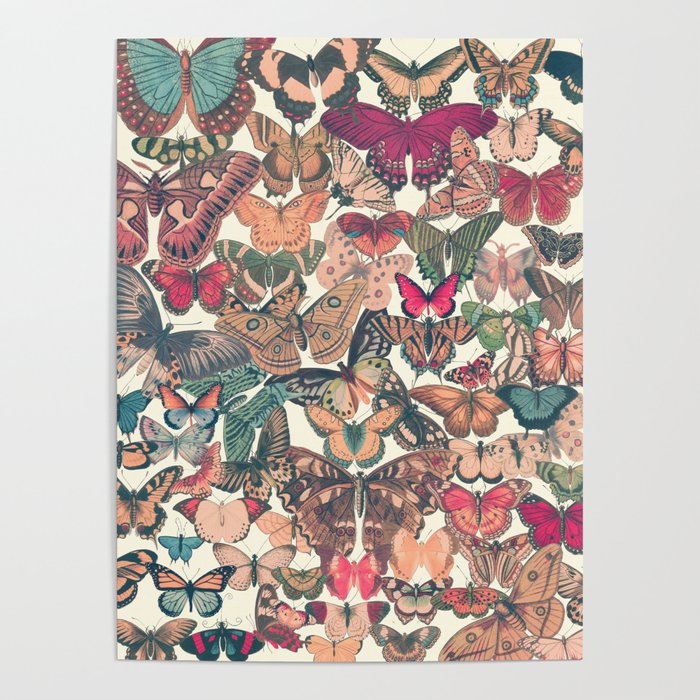 Butterfly Box Poster Gallery Image 1