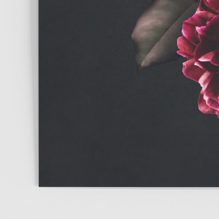 Midnight garden. Vintage bouquet of roses, dark red peony and iris. Poster Gallery Image 3