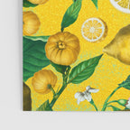 Citrus Ichangensis Poster Gallery Image 3