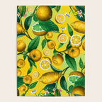 Citrus Ichangensis Poster Gallery Image 4