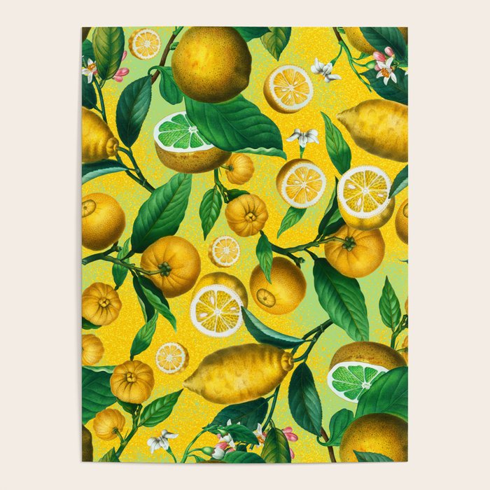 Citrus Ichangensis Poster Gallery Image 4