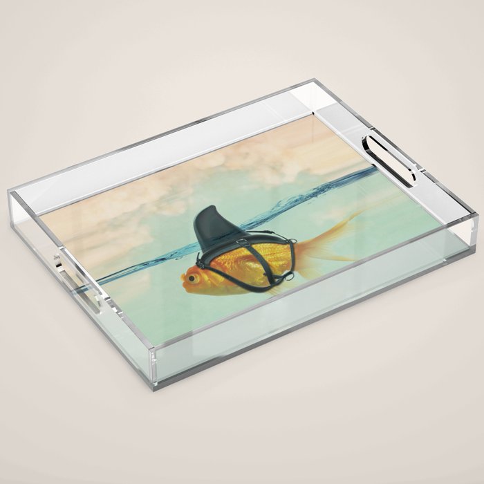 Brilliant DISGUISE - Goldfish with a Shark Fin Acrylic Tray Gallery Image 1