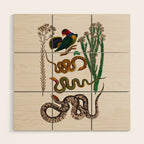 Snakes Birds Sunflower Art Print by Albertus Seba Wood Wall Art Gallery Image 1