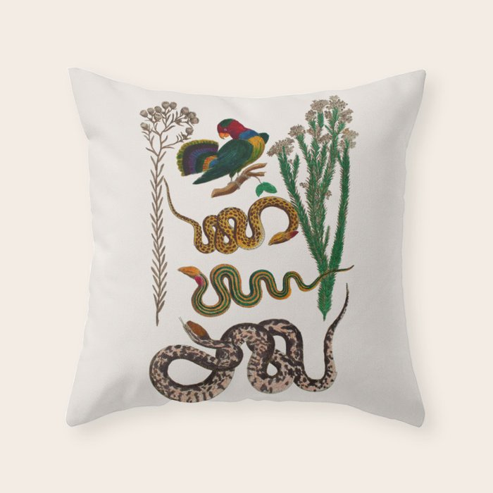 Snakes Birds Sunflower Art Print by Albertus Seba Throw Pillow Gallery Image 6