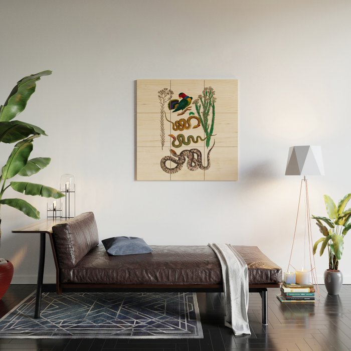 Snakes Birds Sunflower Art Print by Albertus Seba Wood Wall Art Gallery Image 2