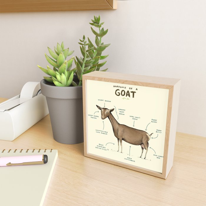 Anatomy of a Goat Mini Art Print Gallery Image 2
