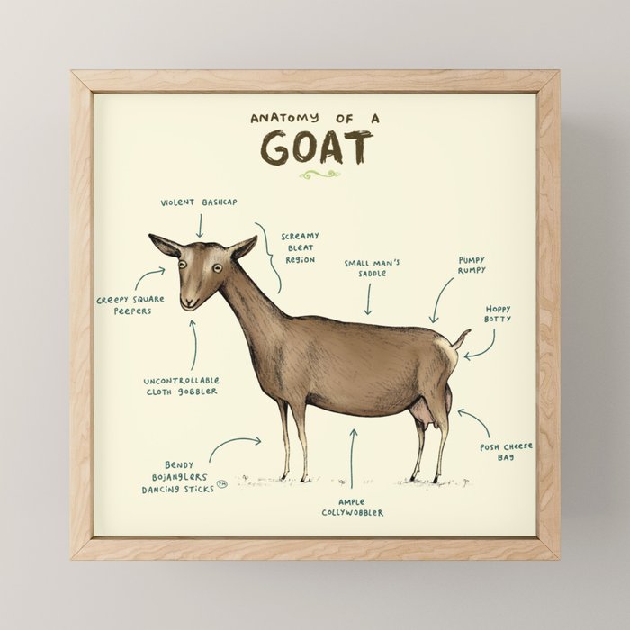 Anatomy of a Goat Mini Art Print Gallery Image 1