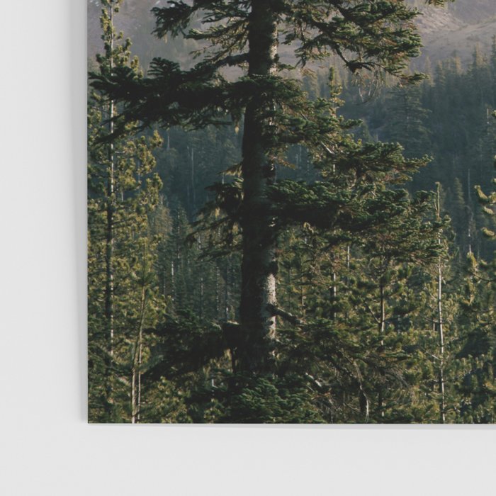 Mount Saint Helens IV Poster Gallery Image 3
