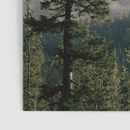 Mount Saint Helens IV Poster Gallery Image 3