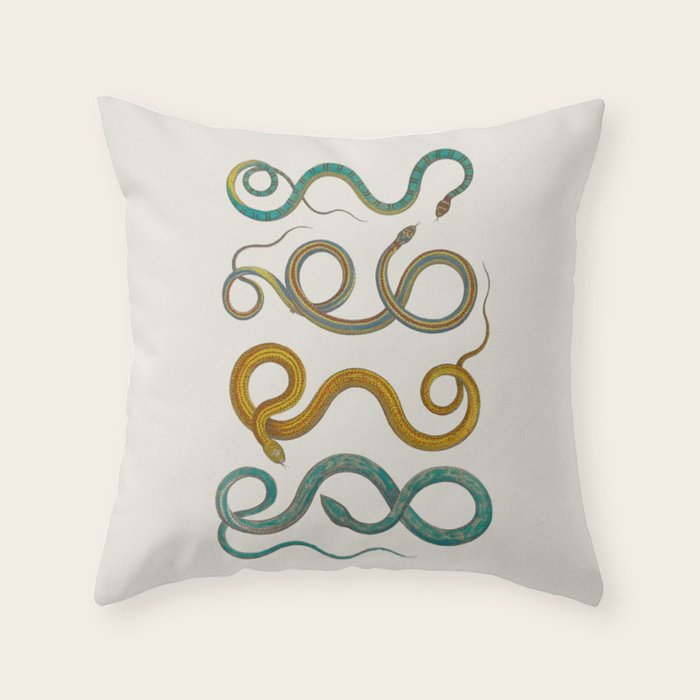 Albertus Seba Snakes Illustration Teal And Yellow Scales Throw Pillow Gallery Image 6