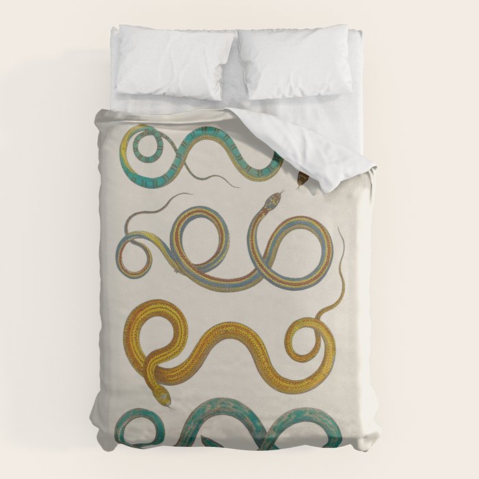 Albertus Seba Snakes Illustration Teal And Yellow Scales Duvet Cover Gallery Image 6