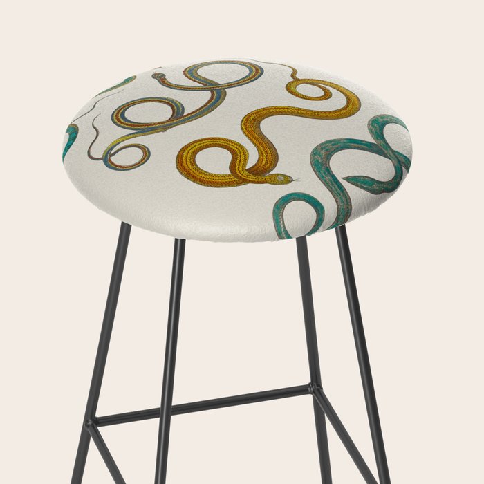 Albertus Seba Snakes Illustration Teal And Yellow Scales Stool Gallery Image 2