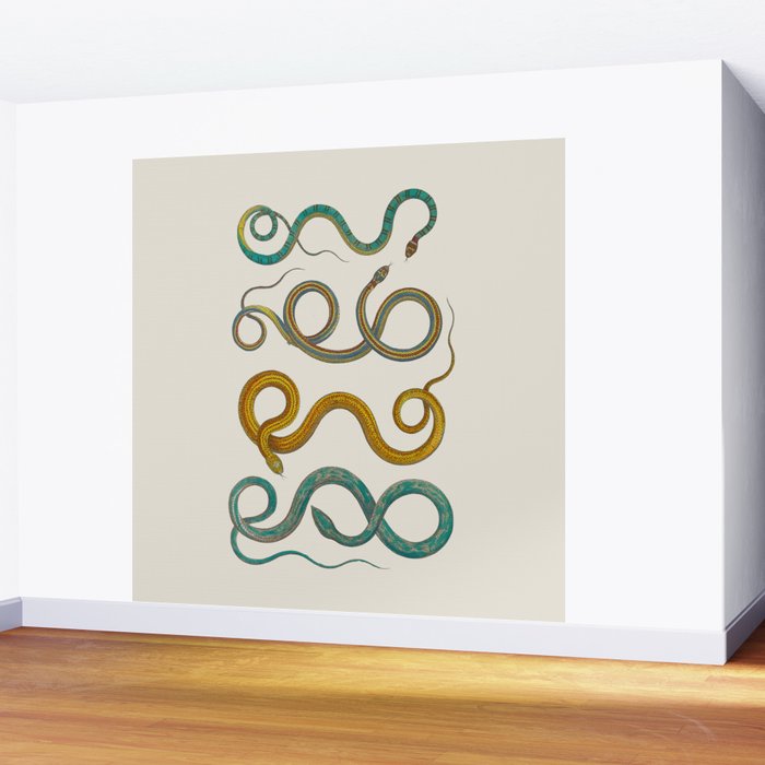 Albertus Seba Snakes Illustration Teal And Yellow Scales Wall Mural Gallery Image 2