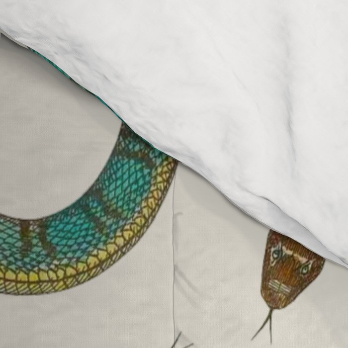Albertus Seba Snakes Illustration Teal And Yellow Scales Comforter Gallery Image 4